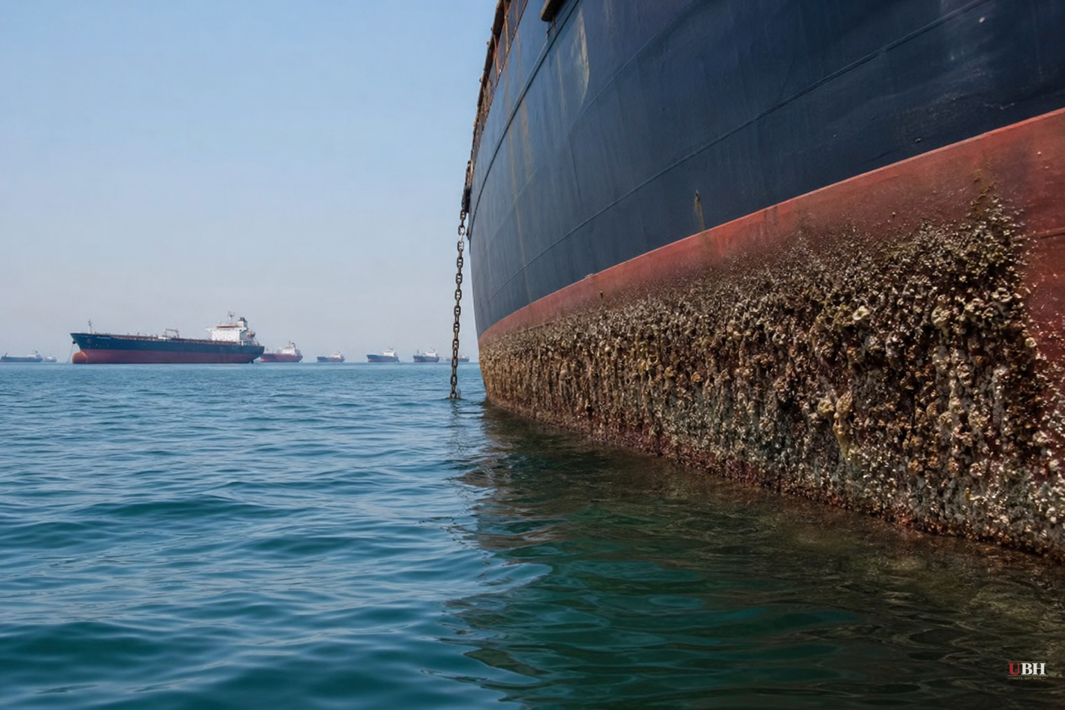 1,500 Ships Stranded in Strait of Hormuz Since February Could Spread Invasive Species Worldwide, Scientists Warn