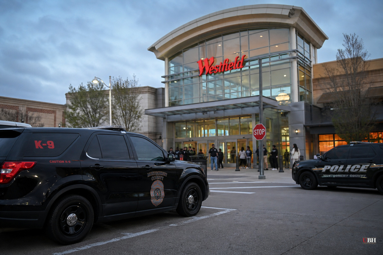 17-Year-Old Charged as Adult After Shooting 13-Year-Old at Westfield Wheaton Mall in Maryland