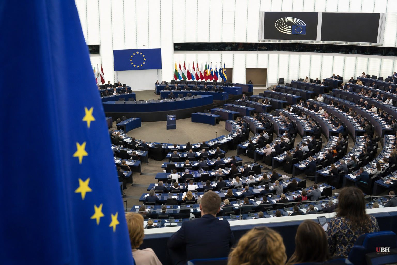 2024 European Parliament Vote: 'Far-Right Surge' Headline Didn't Match Most Countries