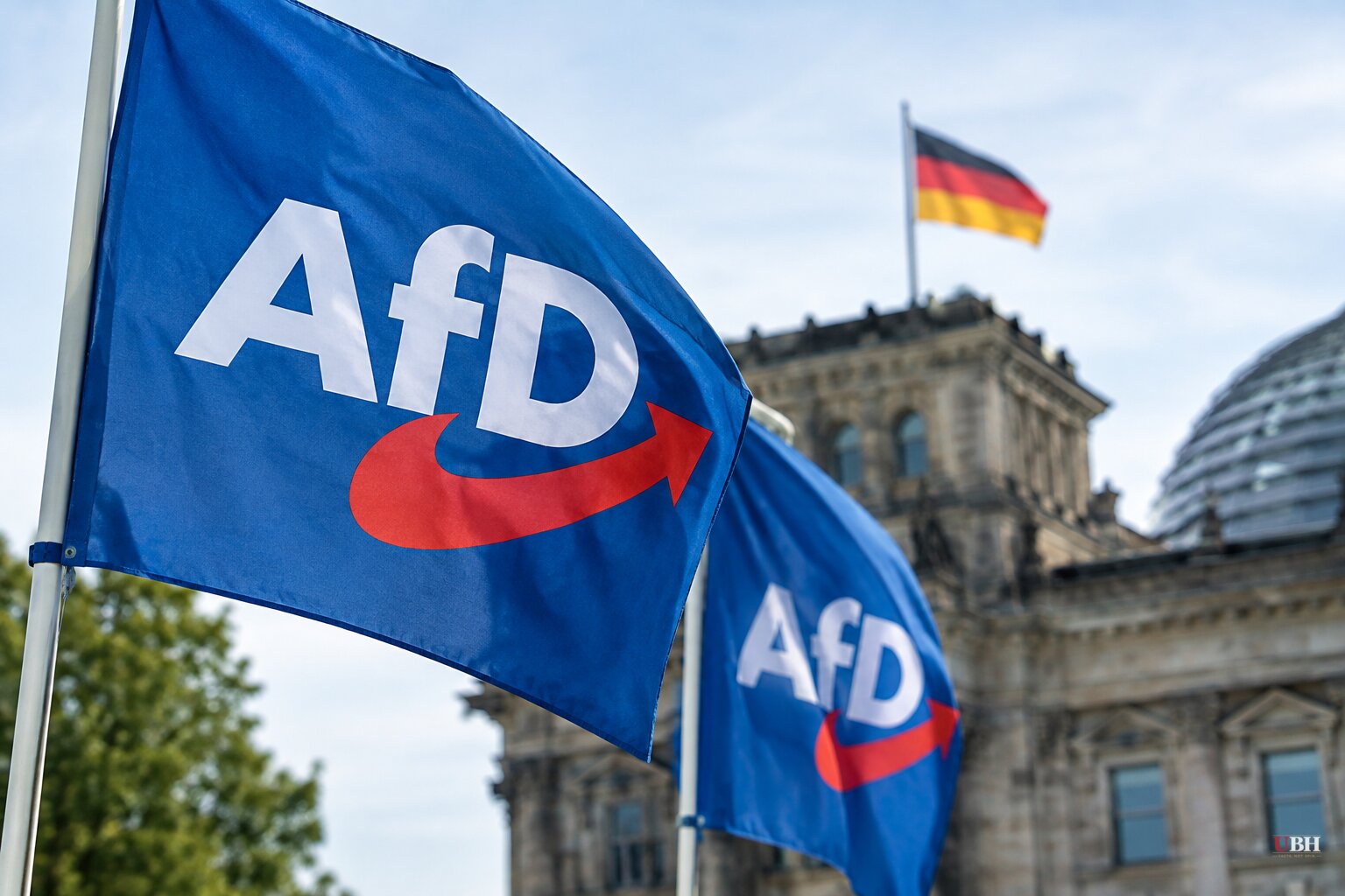 AfD Wins Nearly 44% in Saxony-Anhalt, Becomes Germany's Strongest State Party Since 1949