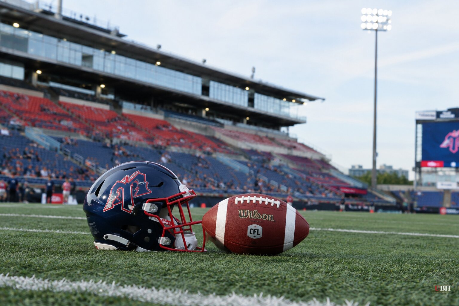 Alouettes' Liam Talbot Out for Season After Alleged Groin Punches by Lions' Josh Hagerty, CFL Discipline Pending