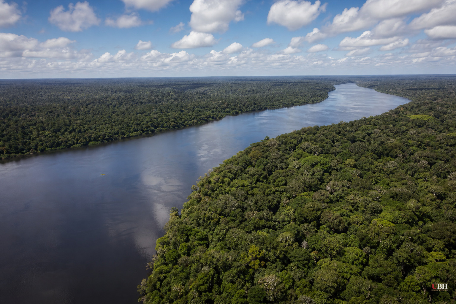 Amazon Fires Dropped 80% in 2025, Hitting Lowest Level Since Satellite Records Began