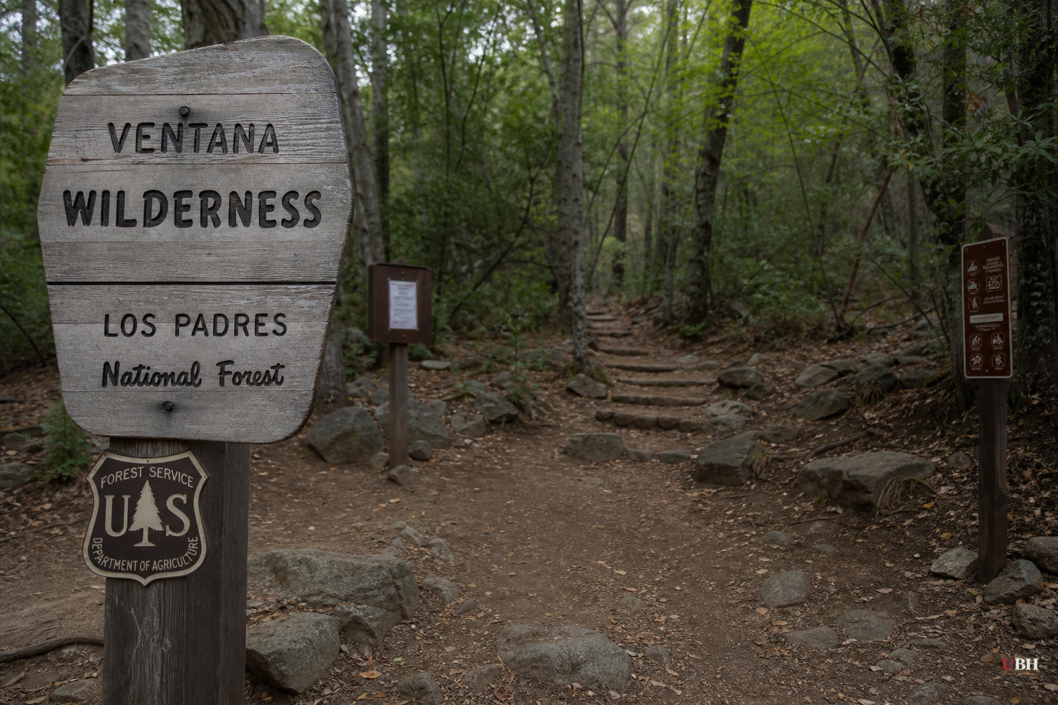 Big Sur Hiker's Death Ruled Alcohol Withdrawal Seizure, Not Foul Play