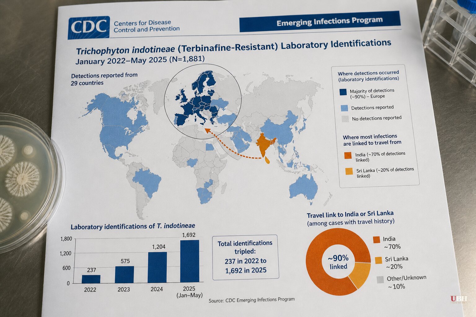 CDC Study: Drug-Resistant Ringworm Fungus Now Detected in 29 Countries, Cases Triple Since 2022