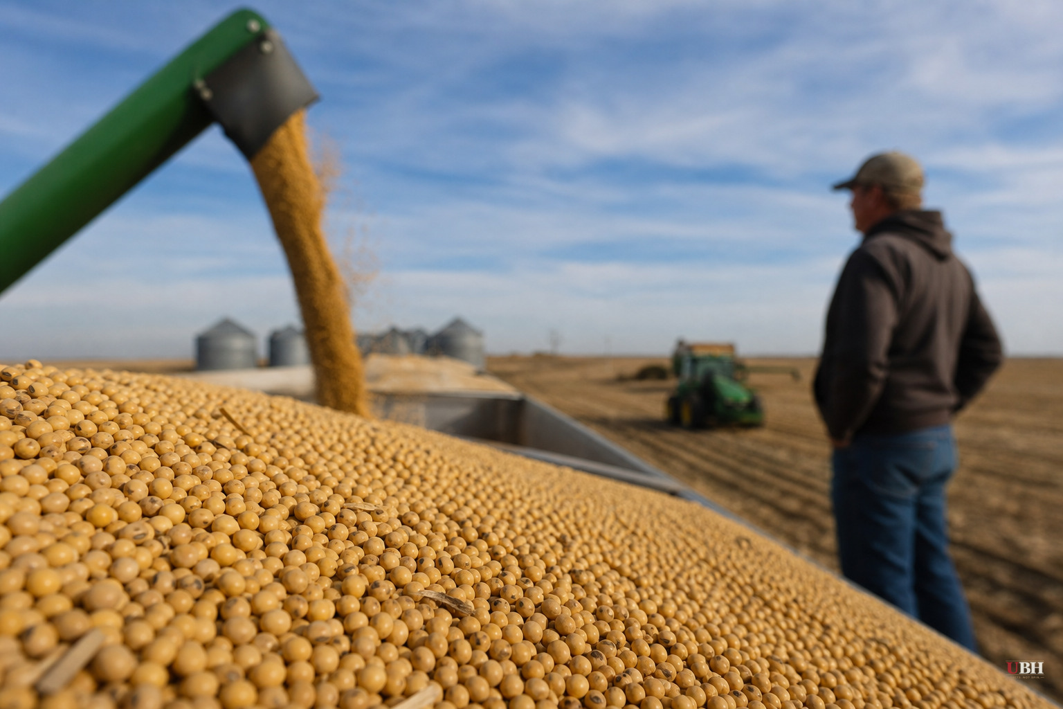China Skips Its Usual September Soybean Buying Spree, Leaving Midwest Farmers Without Their Biggest Customer