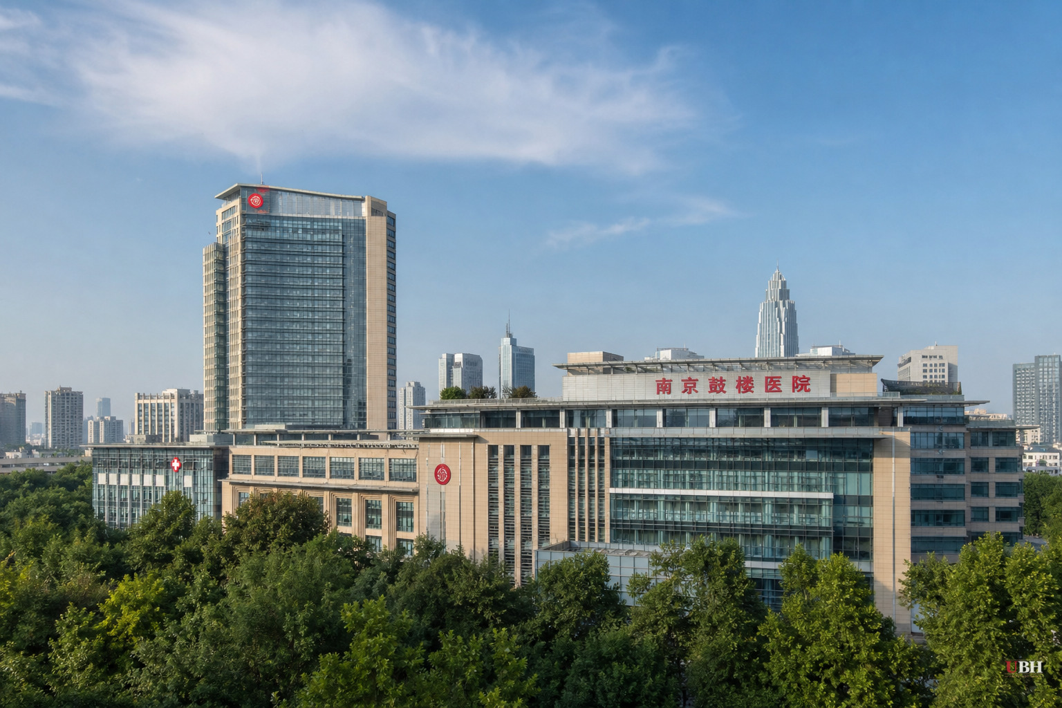 Chinese Trial: Stem Cell Injections Restored Heart Function in 9 of 10 Failure Patients