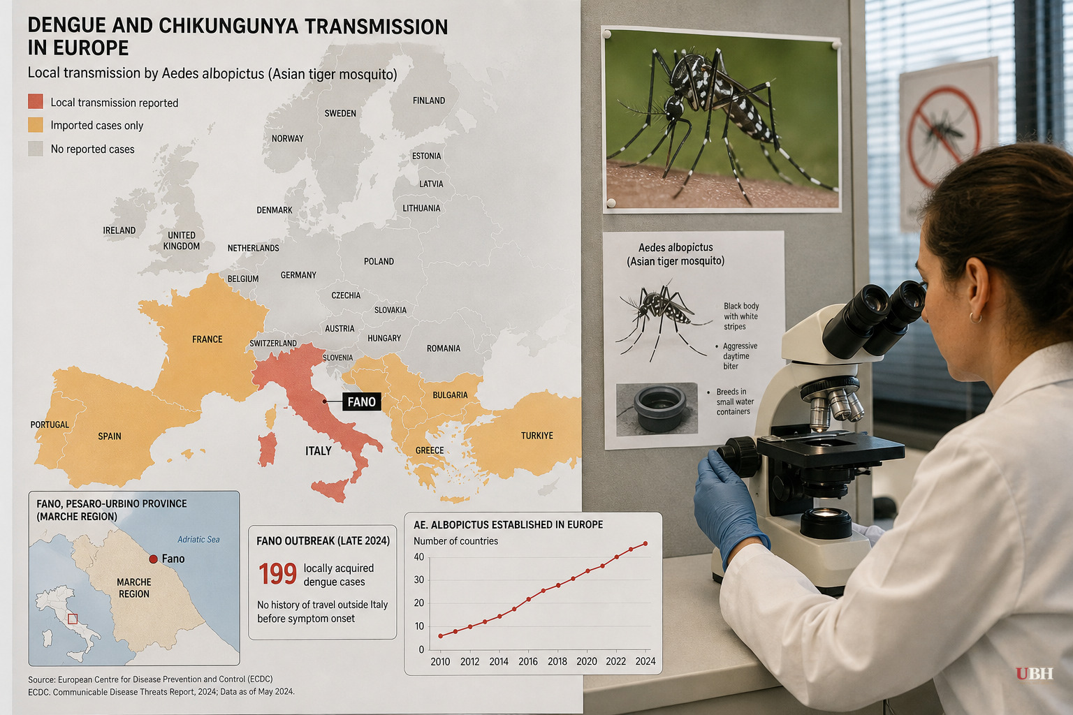 Dengue and Chikungunya Cases Are Spreading Inside Europe, Not Just Arriving From Travelers
