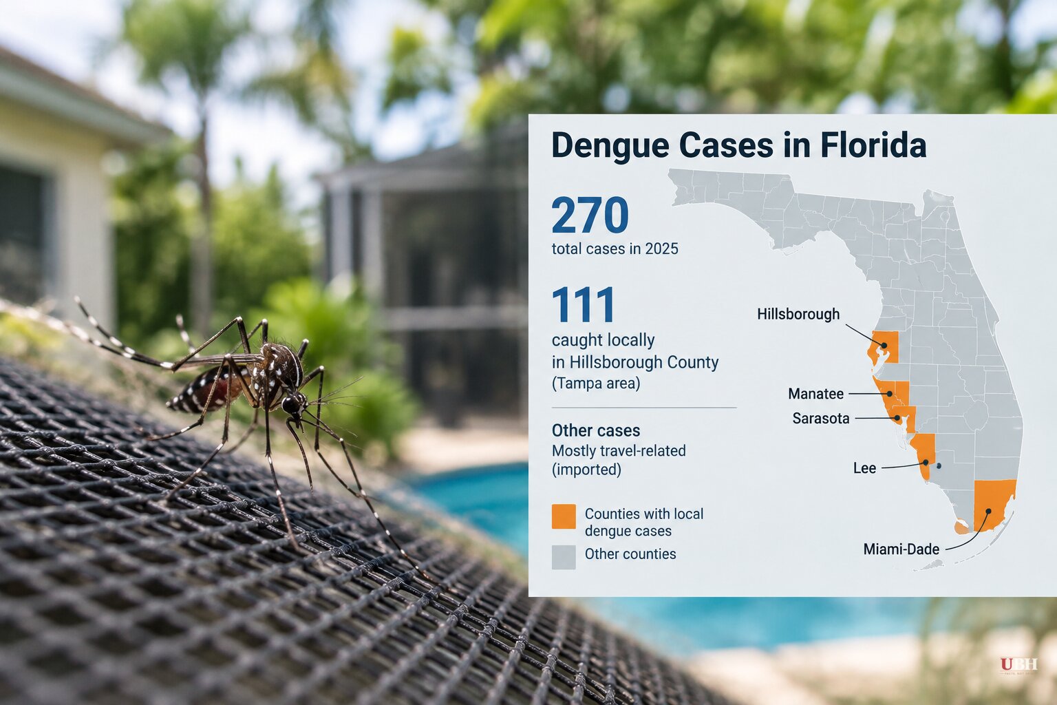 Dengue Cases Top 270 in Florida as West Nile Hits a 20-Year High Nationwide