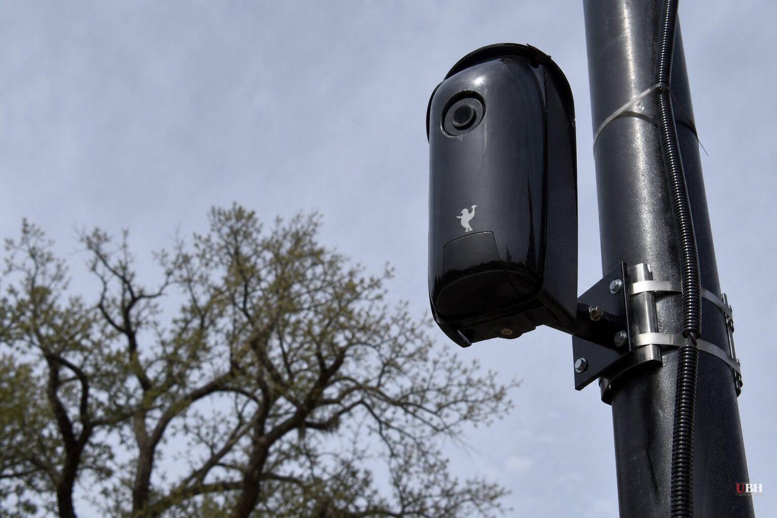 DeSantis Calls Flock Cameras 'Out of Control' as Vandalism and City Contract Cancellations Spread Nationwide