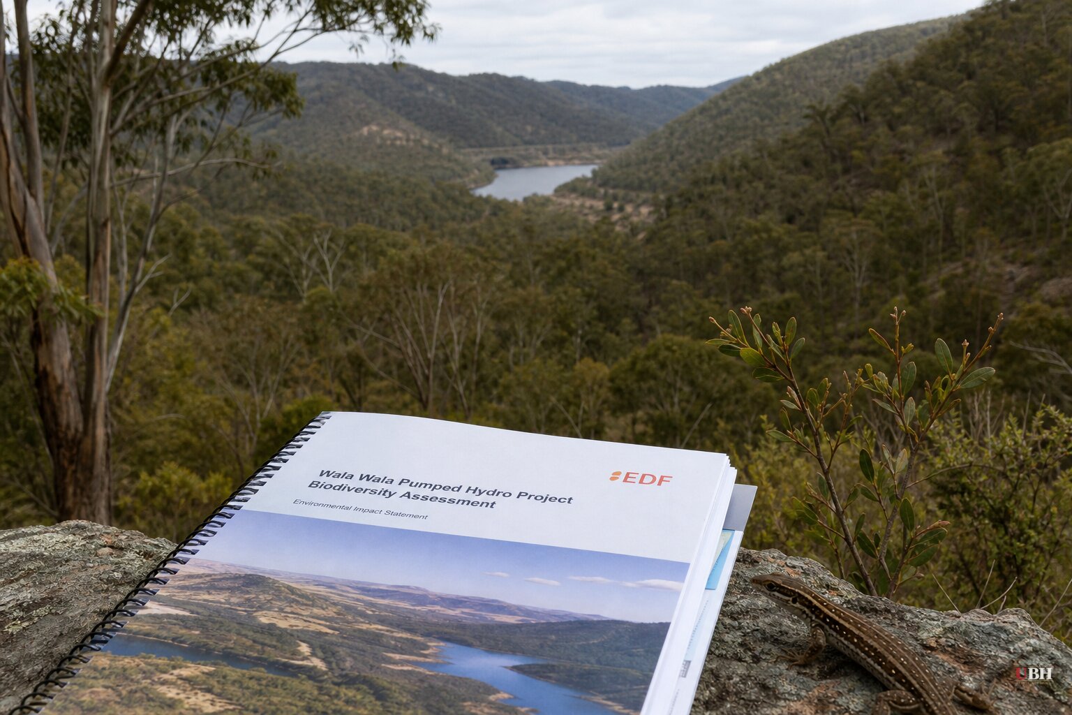 EDF's $1.5 Billion NSW Pumped Hydro Project Flags 80 Threatened Species in Federal Environmental Referral