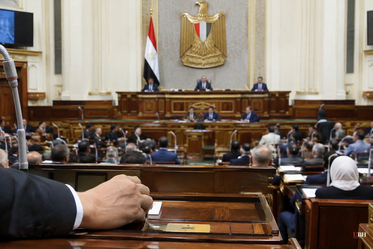 Egypt's Parliament Authorizes Sisi to Send Military Support to Saudi Arabia Against Houthi Attacks