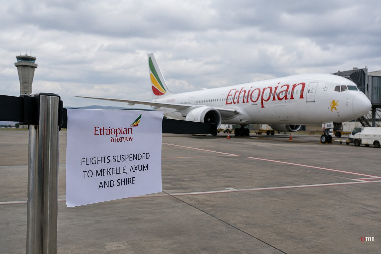 Ethiopian Airlines Halts Flights to Tigray After Regional Forces Seize Mekelle Airport