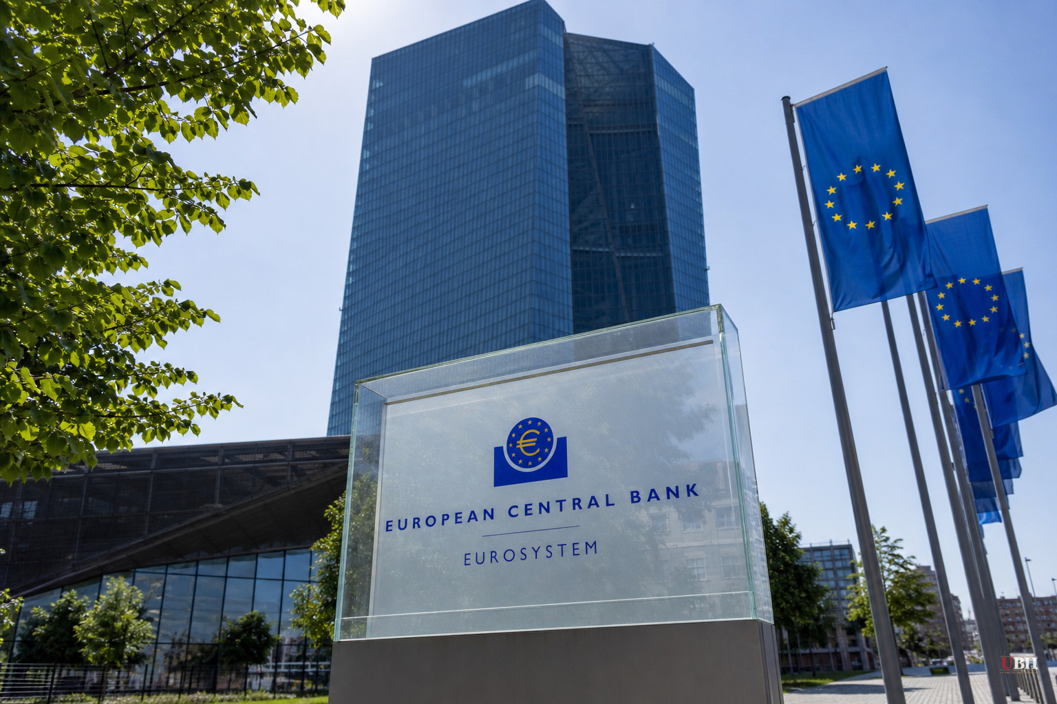 EU Pushes Digital Euro to Cut Reliance on Visa and Mastercard