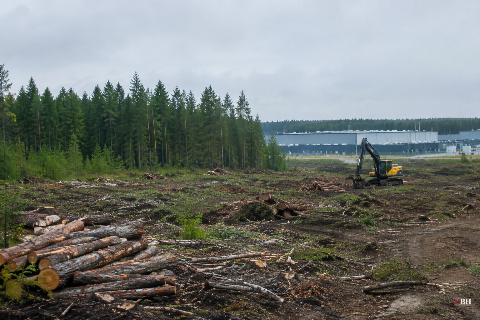 Finland Orders Google to Halt Data Center Construction After Forest Cleared Without Required Environmental Review