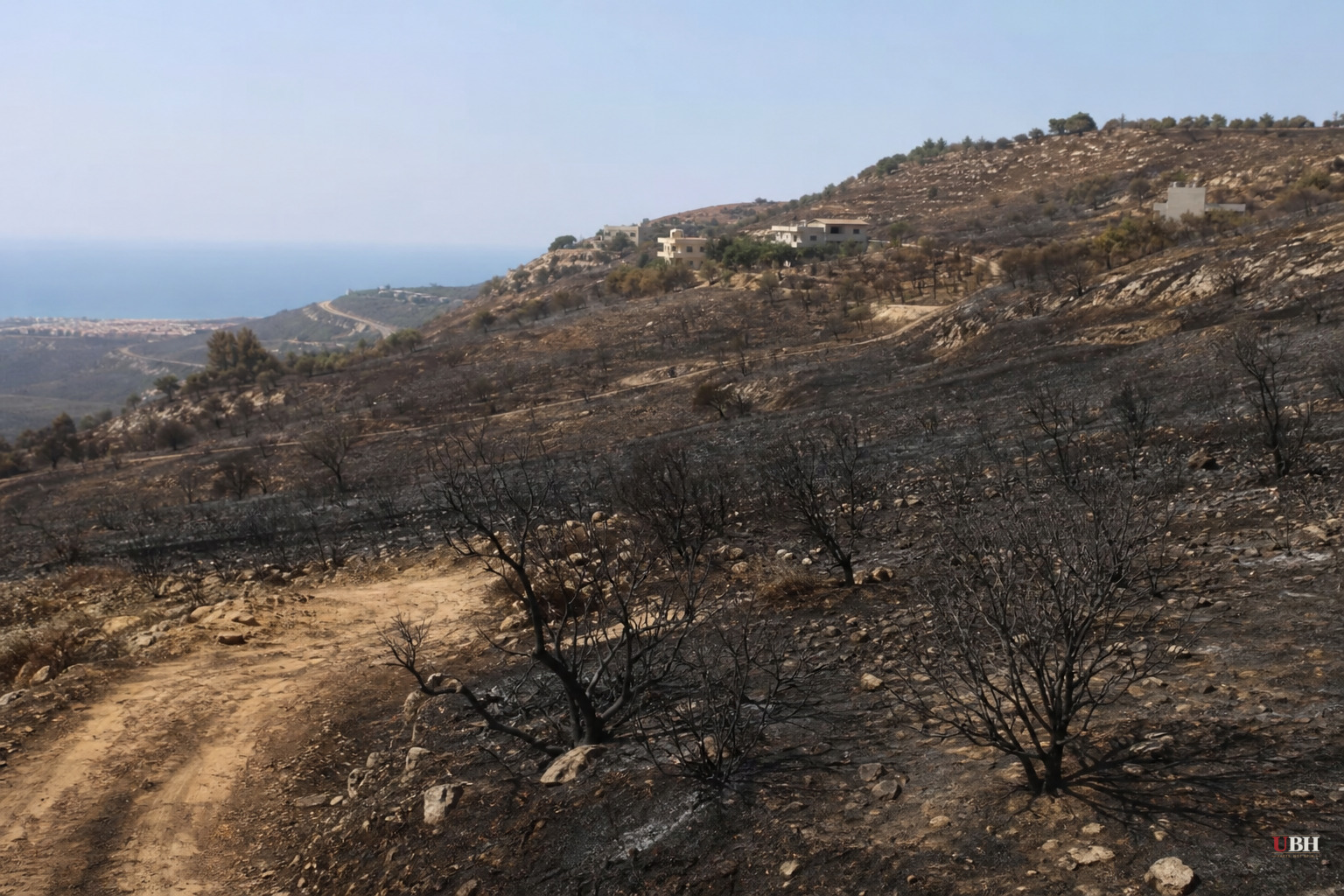 Firefighters in South Lebanon Say Israeli Drones and Flares Are Igniting Wildfires Since June Ceasefire