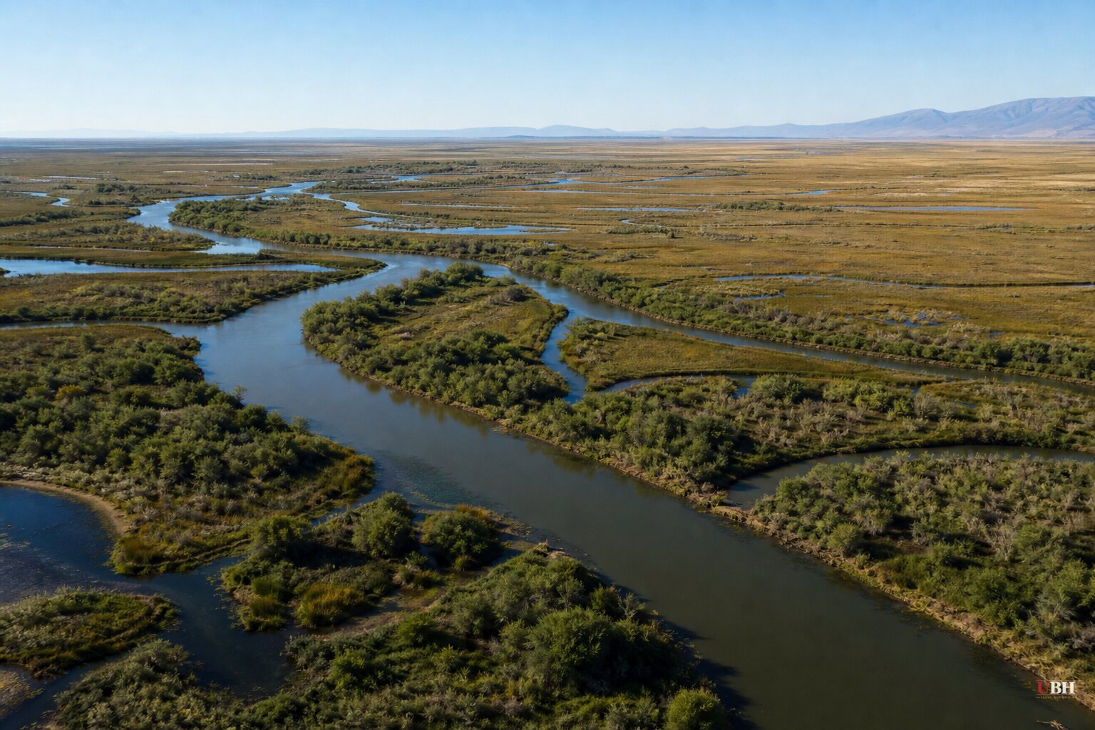 Fish and Wildlife Service Redefines 'Harm' Under Endangered Species Act, Removing Habitat Protections