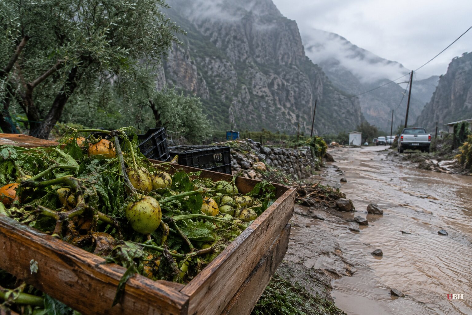 Five Days of Rain Leave One Dead, Eight Stranded in Samaria Gorge, Crete Farmers Report Major Crop Losses
