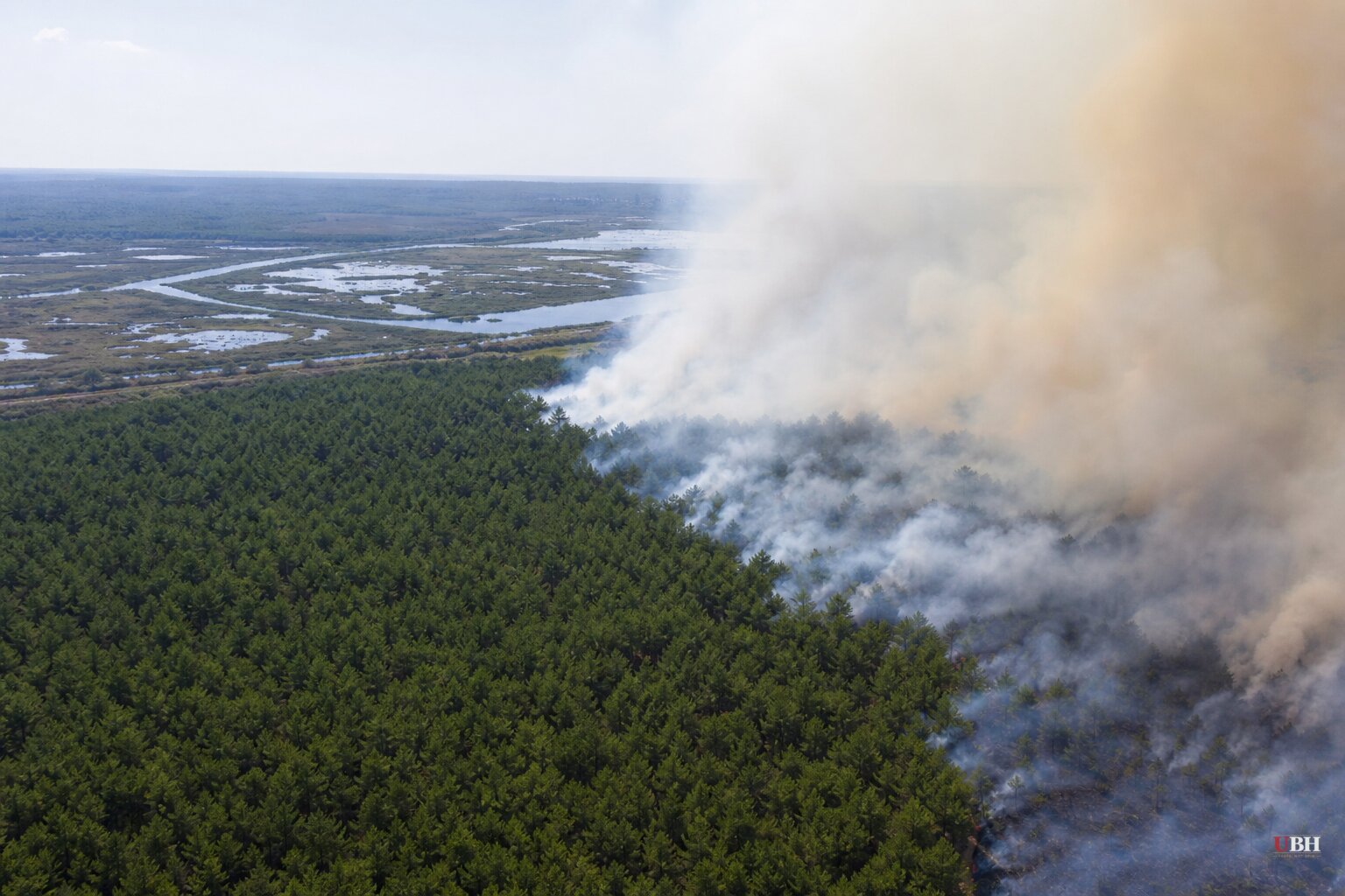 France's Gironde Wildfire Traced to an 1857 Napoleon III Decree, Plus a Record Heatwave