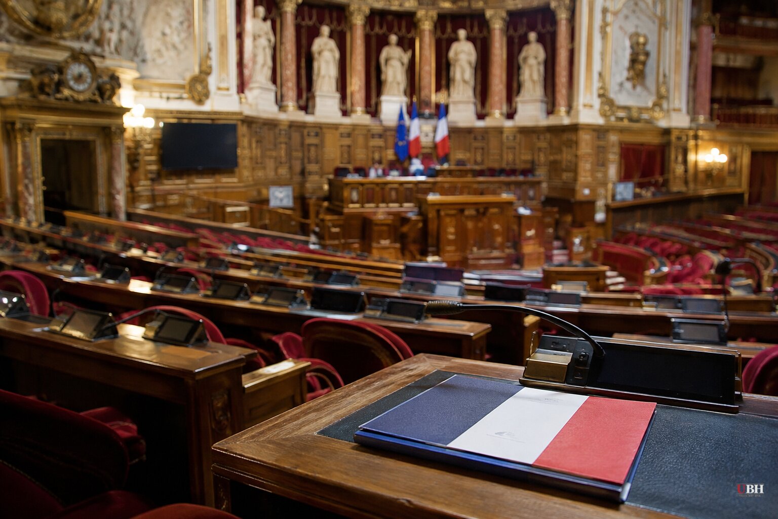 France's National Rally Quadruples Senate Seats, Forms First Caucus in Party History