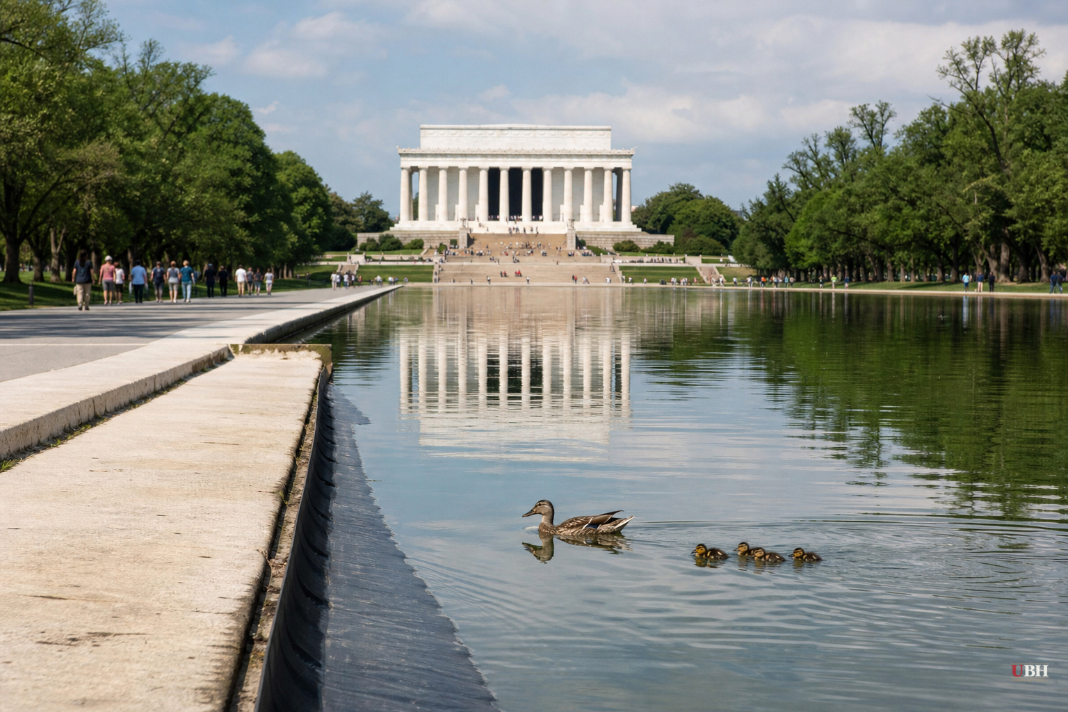 Grand Jury Indicts Former Olympic Canoeist on Felony Charge Over Reflecting Pool Damage