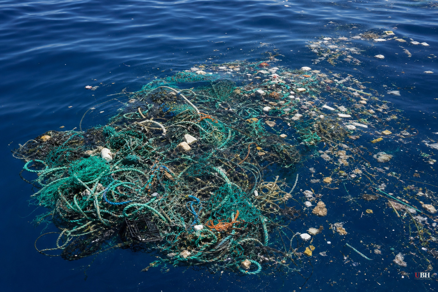 Great Pacific Garbage Patch Covers 1.6 Million Square Kilometers, and Most of It Is Fishing Gear, Not Straws