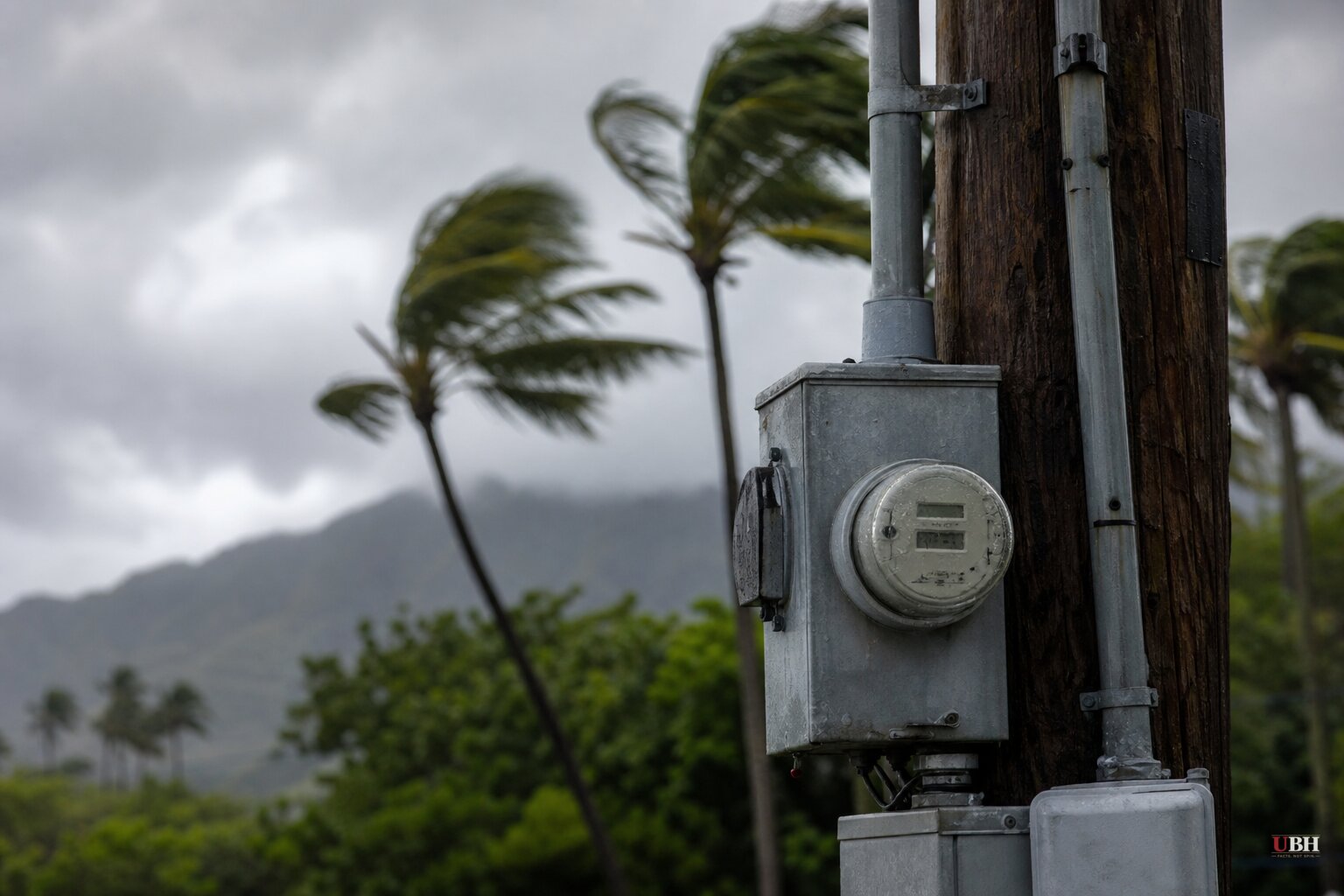 Hurricane Lowell Weakens to Tropical Storm After Cutting Power to 42,000 Across Hawaii