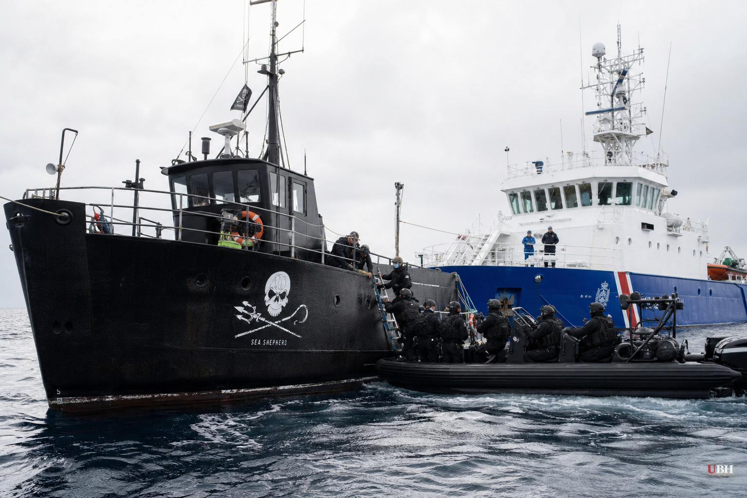Iceland Seizes Paul Watson Group's Protest Ship, Detains 21 Crew After Whaler's Distress Call