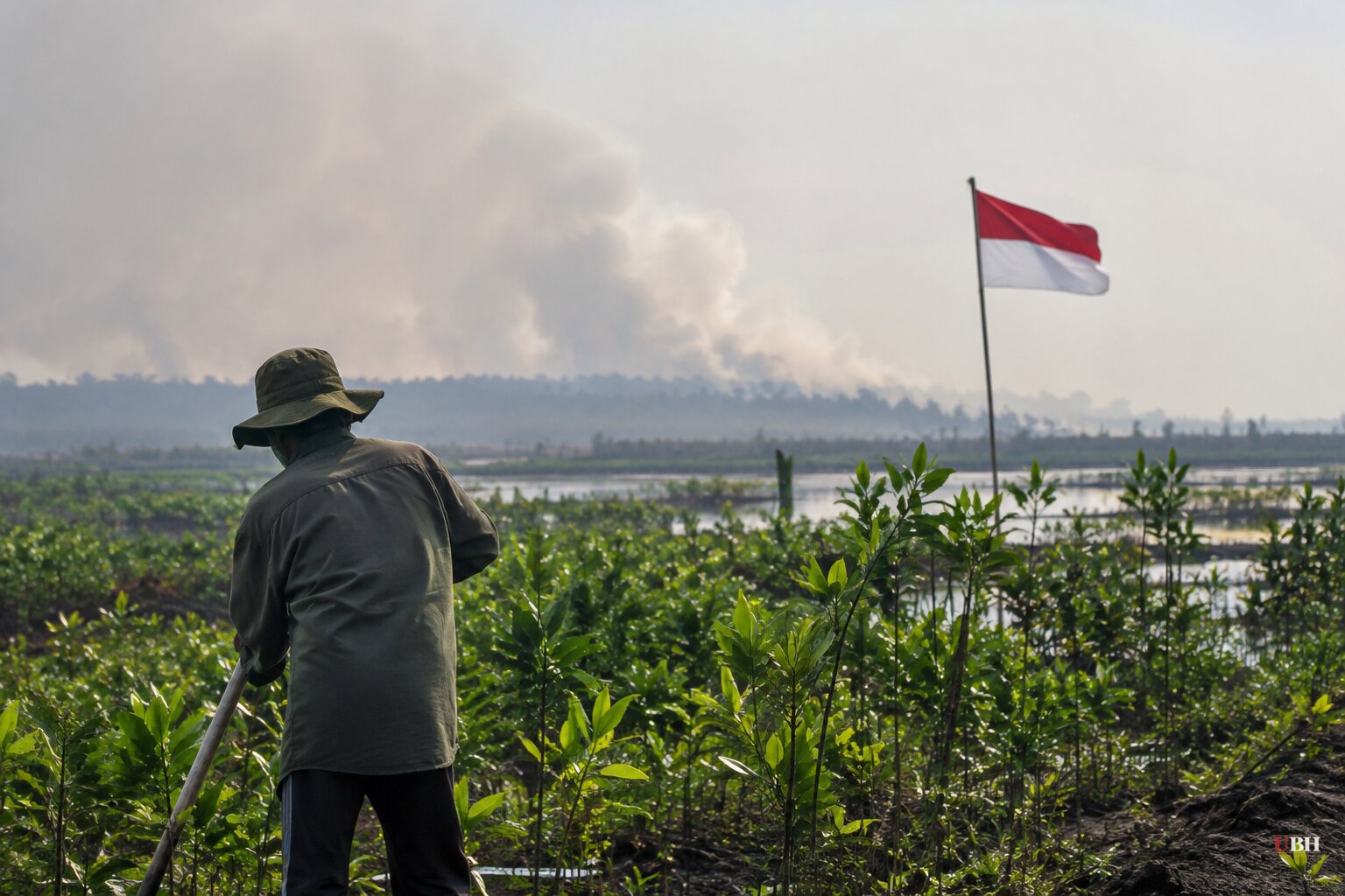 Indonesia Revives Peatland Agency It Let Expire in 2024 as Fires Hit 11-Year High
