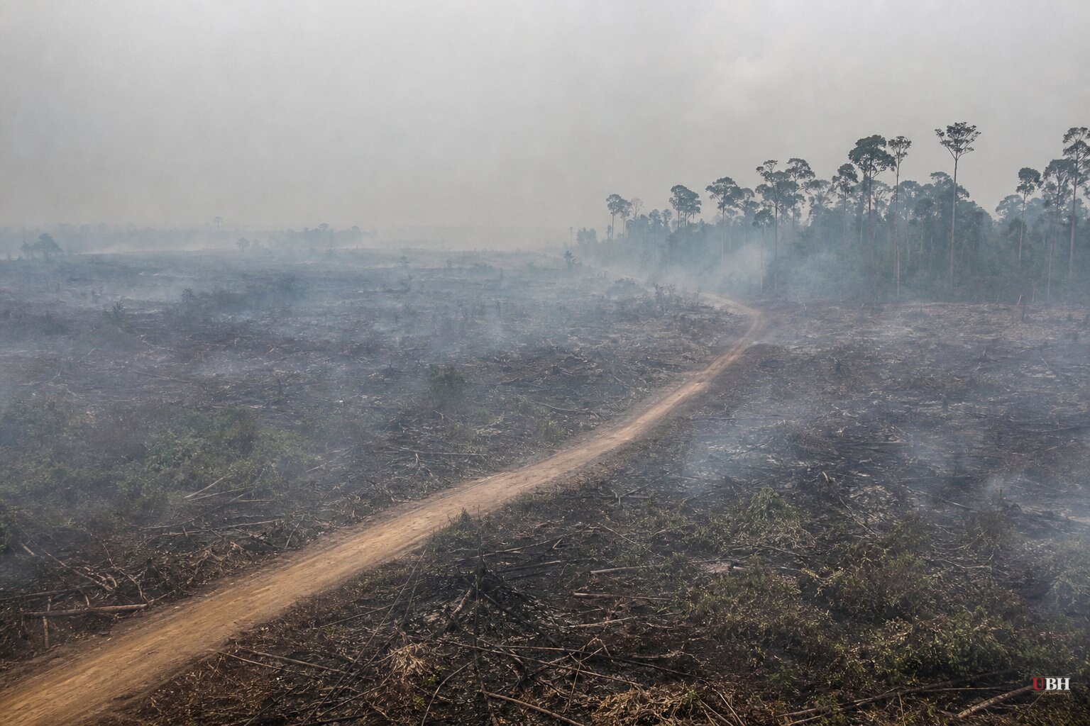 Indonesia's Borneo Peat Fires Have Burned 200,000 Hectares Since July, With Just 72 Arrests So Far
