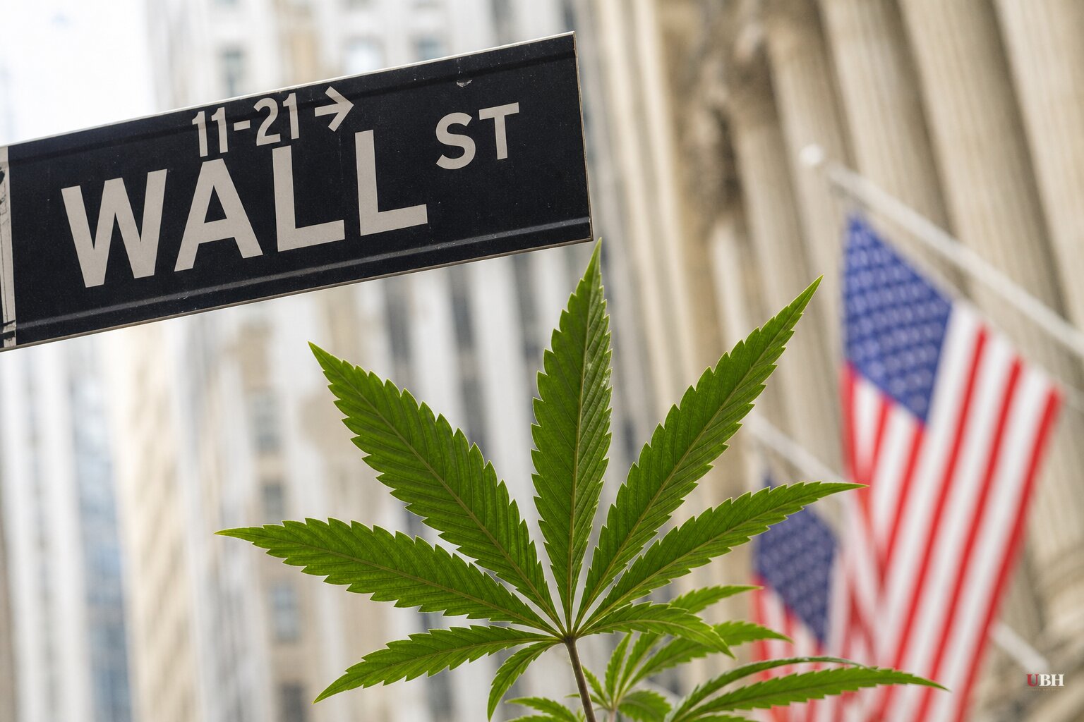 NYSE and Nasdaq Chase Weed Stocks as Federal Rescheduling Opens Wall Street's Doors