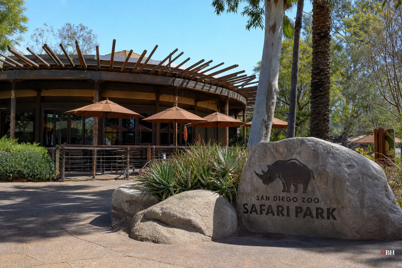 Rabid Bat Found at San Diego Zoo Safari Park Restaurant, County Health Officials Seek Contacts