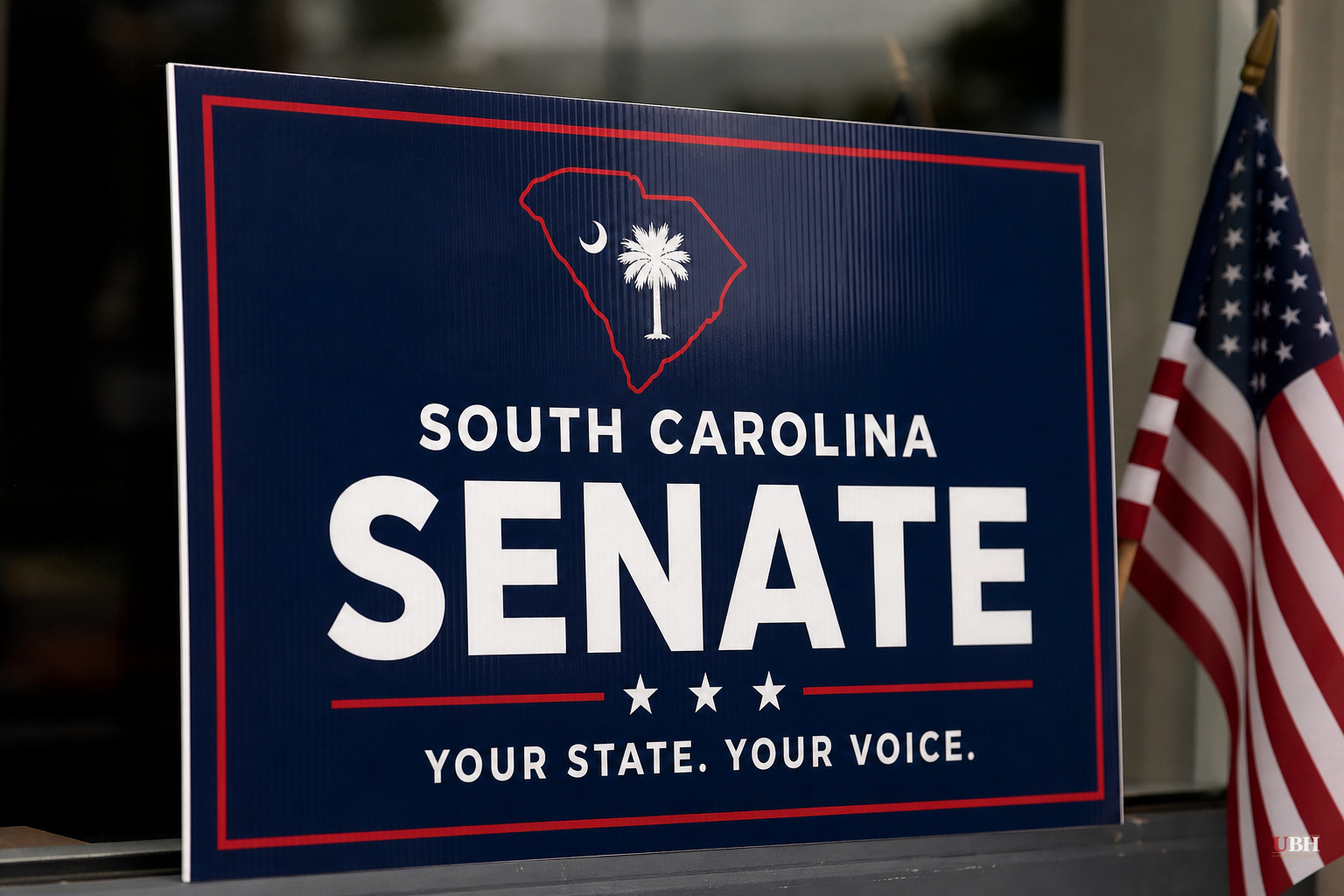 Ralph Norman and Russell Fry Defy Trump Endorsement, Enter South Carolina Senate Race