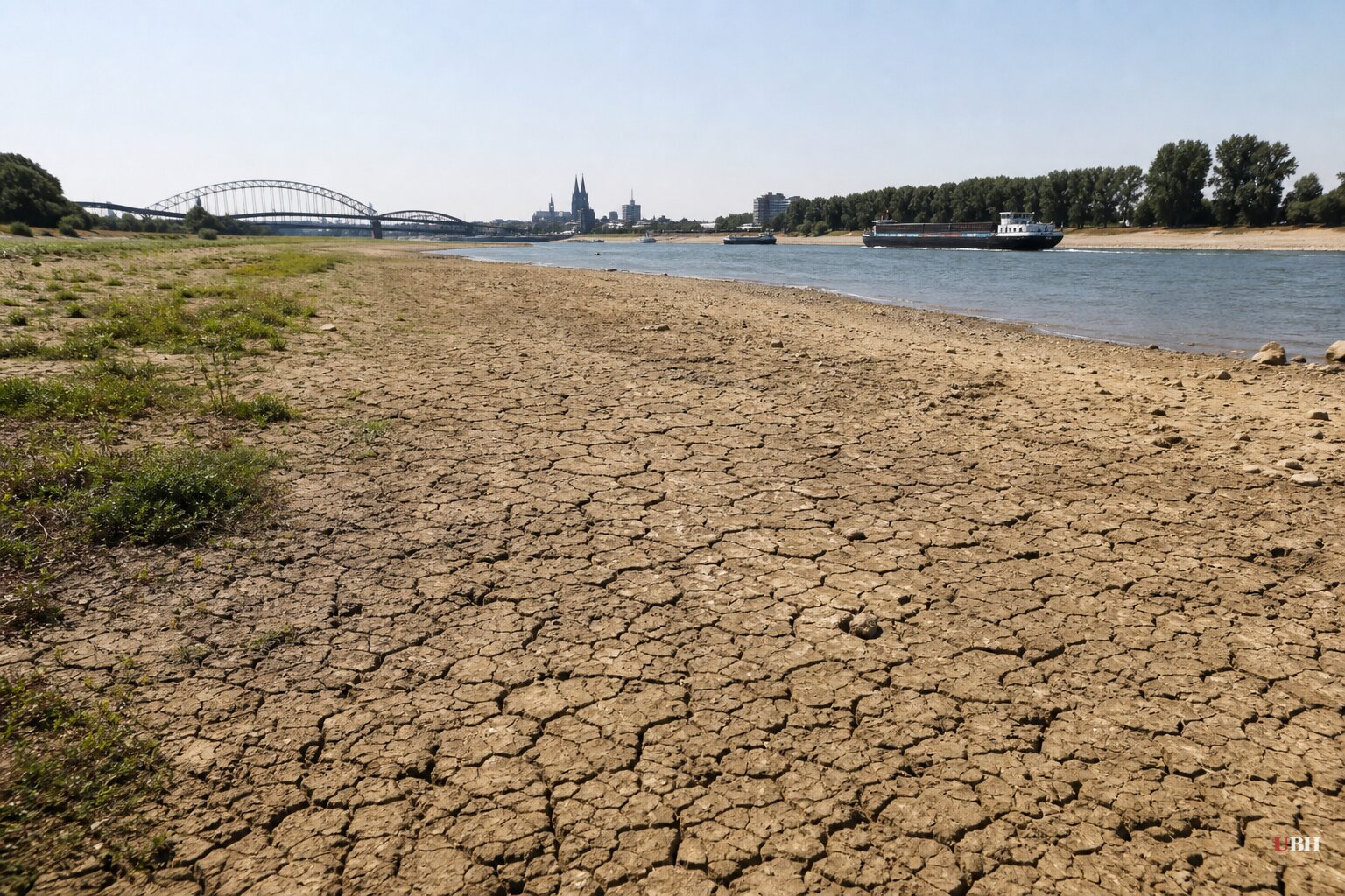 Rhine Hits Lowest July Flow on Record, Dutch Potato and Bosnian Corn Harvests Collapse