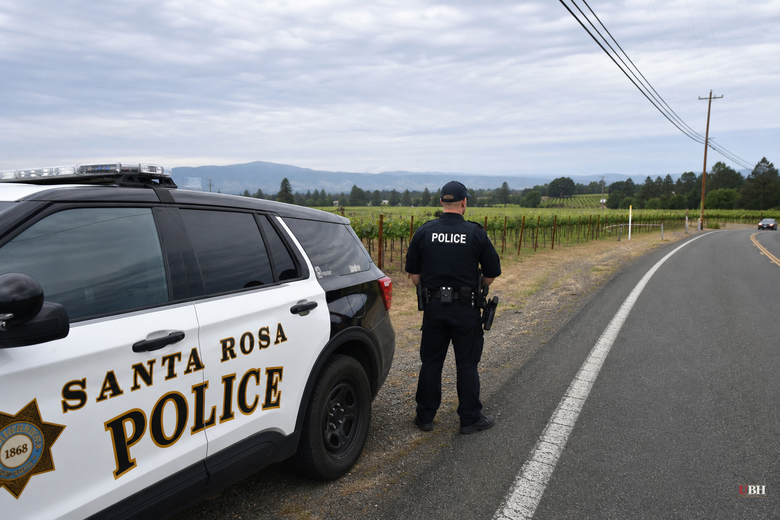 Sixth Arson Arrest in Santa Rosa as Police Say 17 of 30 Recent Fires Were Intentionally Set