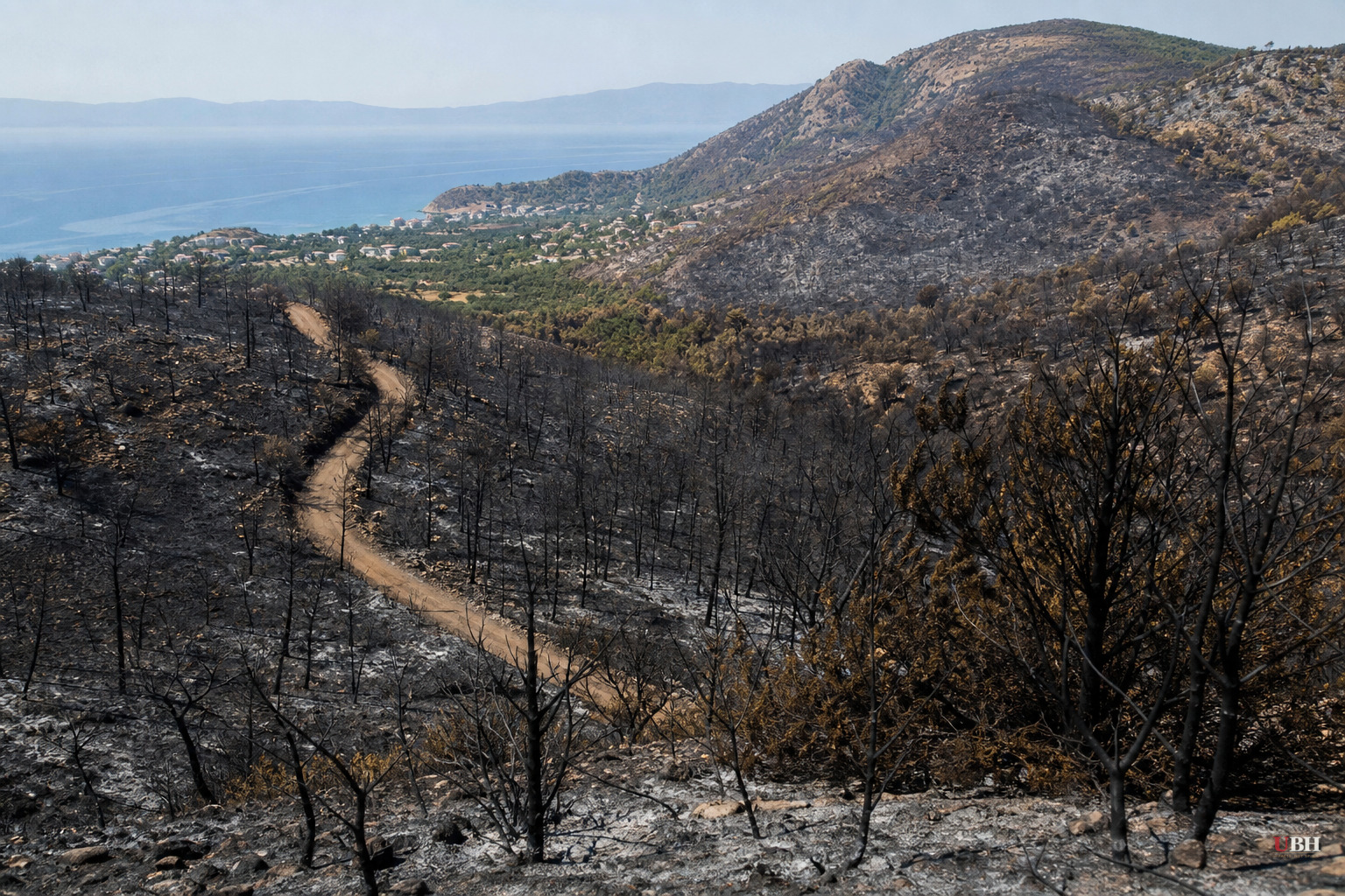 Study: Europe's Wildfire Area Could Nearly Triple by 2100, But Better Firefighting Cuts That Sharply