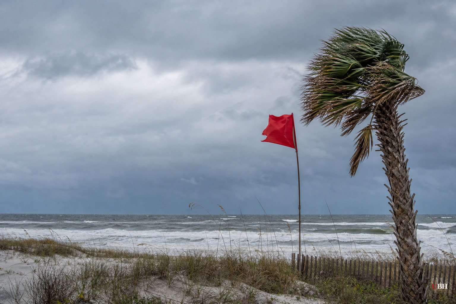 Tropical Depression Two Gets 80% Shot at Becoming Tropical Storm Bertha, Florida Panhandle Under Watch