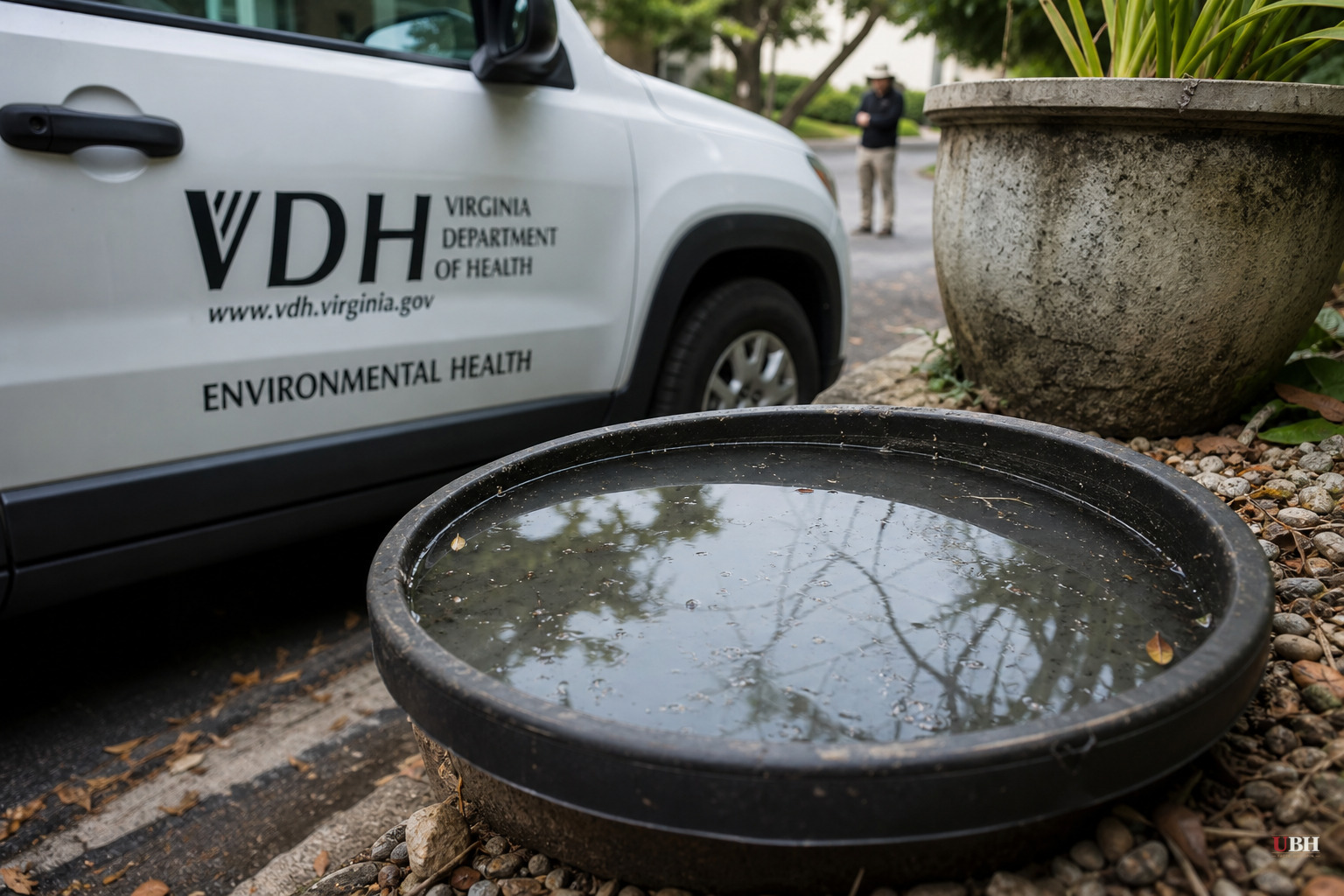 Virginia Confirms First Locally Transmitted Dengue Case, Days After Florida Reports Two More