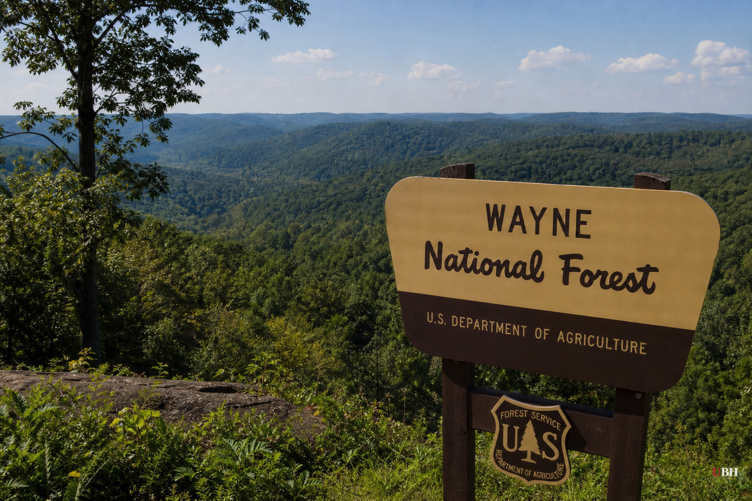 Wayne National Forest Moves Toward First-Ever Fracking Lease Sale, BLM Sets September 15 Date