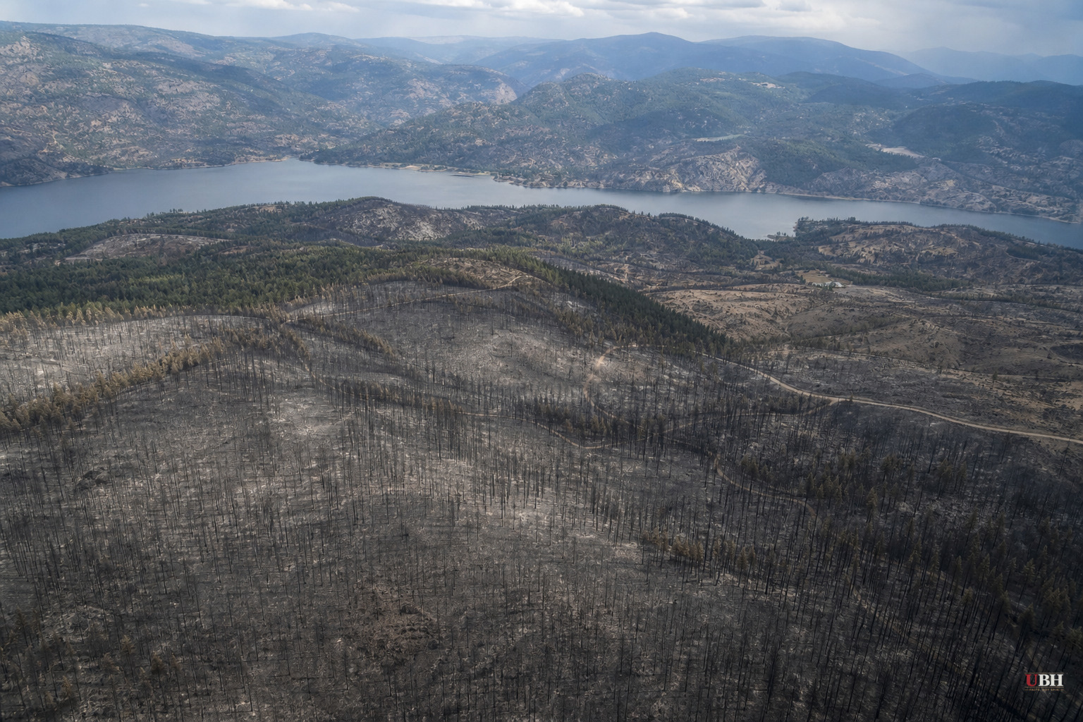 Wildfires Are Burning Millions of Acres in 2026. Forest Management and Climate Policy Are Both on Trial