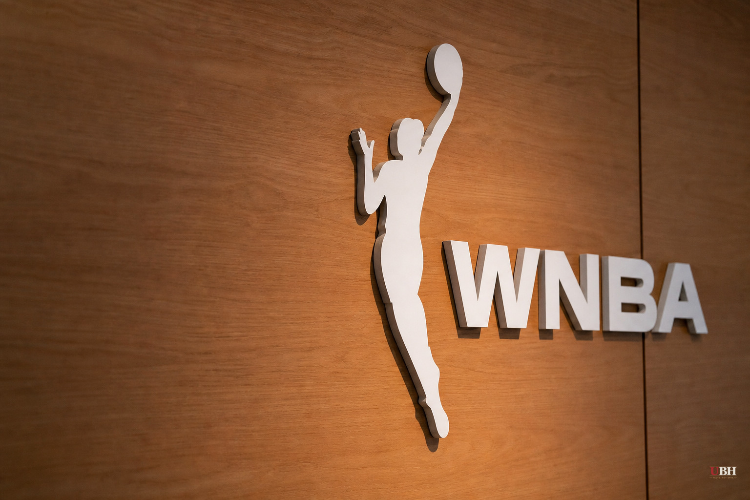 WNBA Suspends Storm Co-Owner Five Games Over Confrontation With Teen Fans of Sophie Cunningham